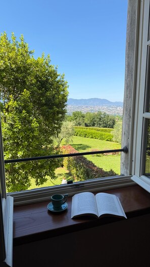 Ein Fenster mit Blick auf eine grüne Landschaft, ein Buch und eine Tasse auf einer Holzauslege.