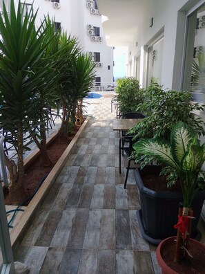 Terraza o patio