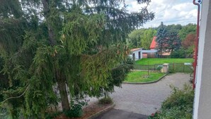 A paved driveway leading to a building with a red roof, surrounded by greenery and trees. - U Zeleného stromu (Janov)