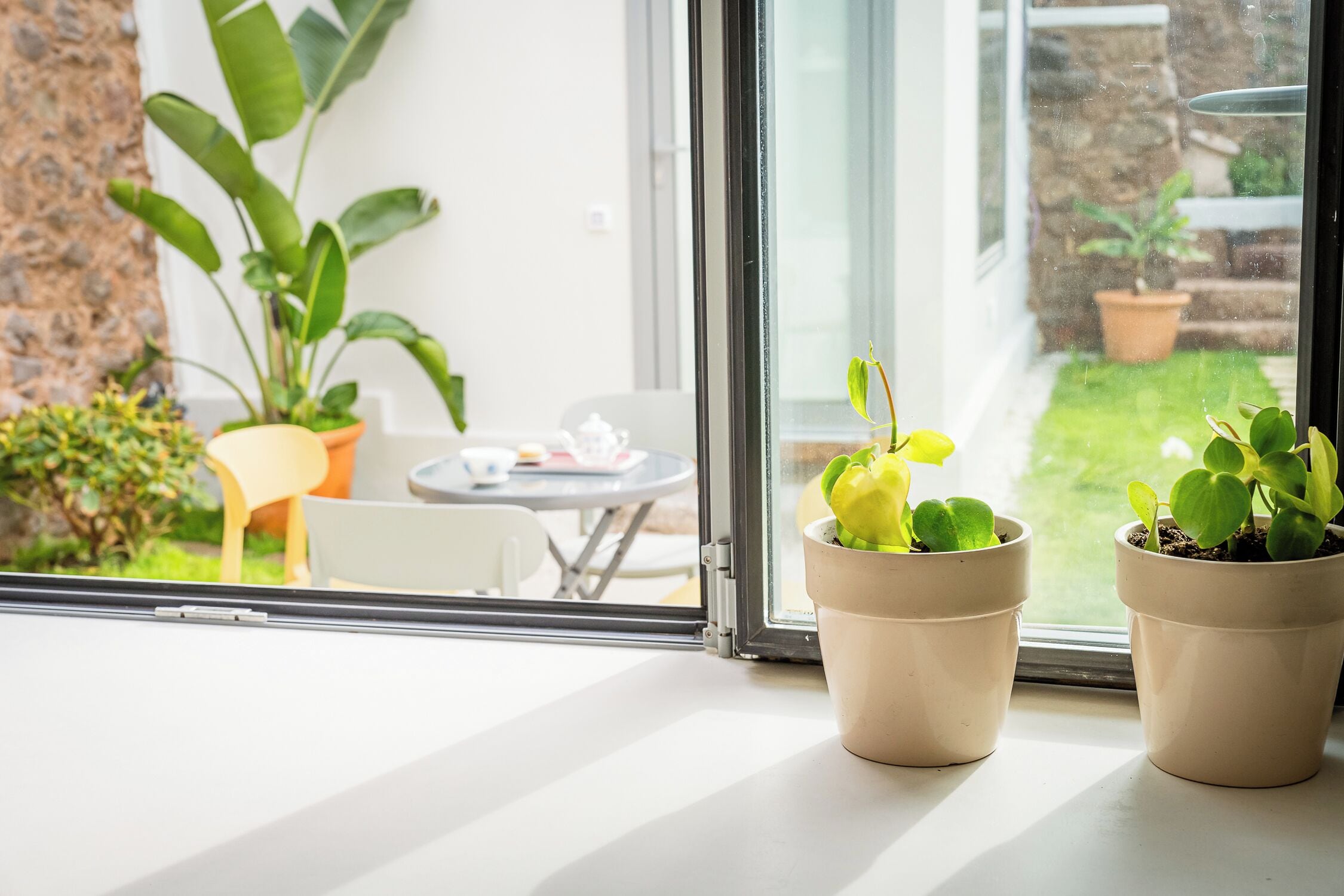 A window with two potted plants on a windowsill, a chair, and a table with a teapot and cups in the background.