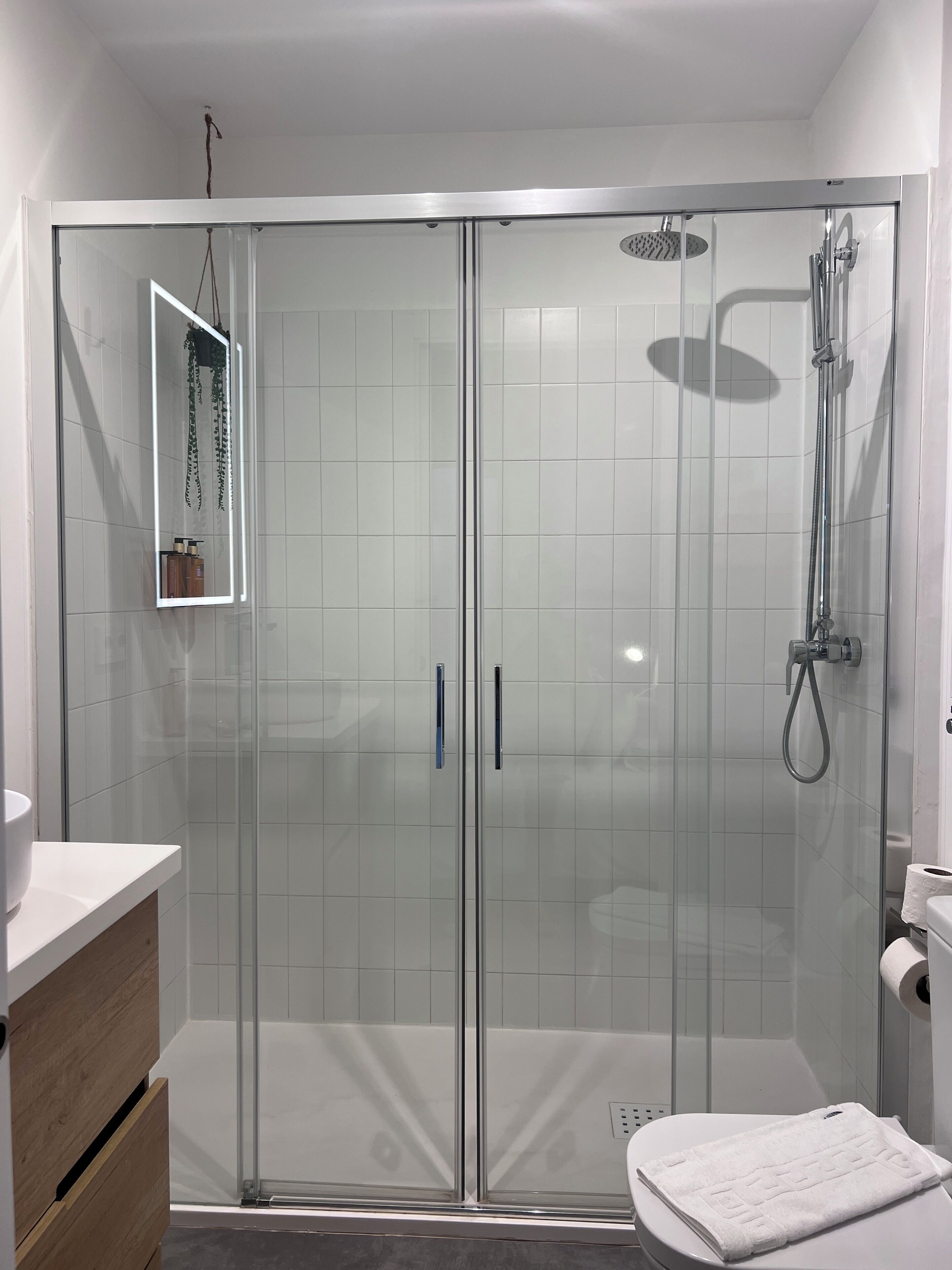 A modern bathroom with a glass shower enclosure, a toilet, and a sink area.