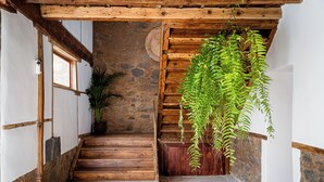 Un escalier en bois, un mur en pierre, une fougère suspendue et une plante en pot.