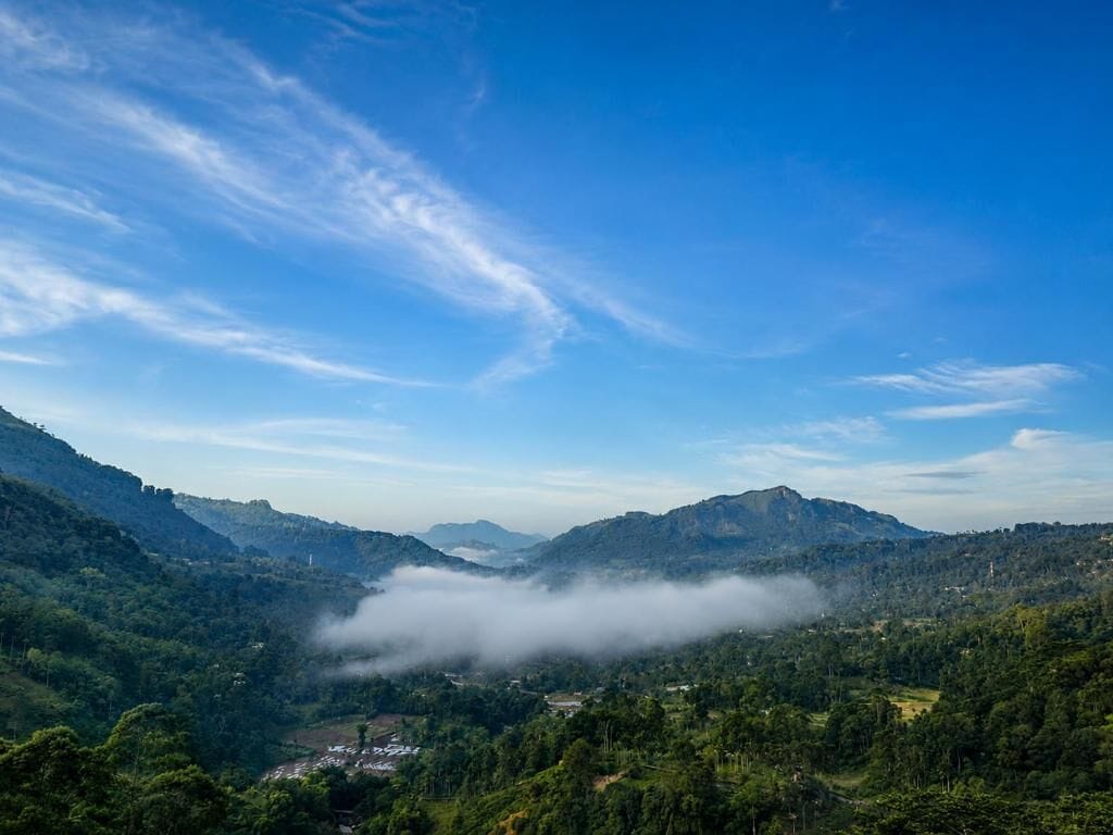 A mountainous landscape with a valley, dense forest, and a clear sky.