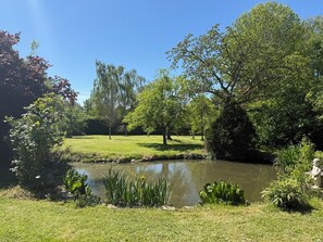 Ein friedlicher Park mit Teich, üppigem Grün und blauem Himmel.