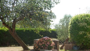 Un jardín con un árbol frutal, un macizo de flores rosadas y un seto al fondo.