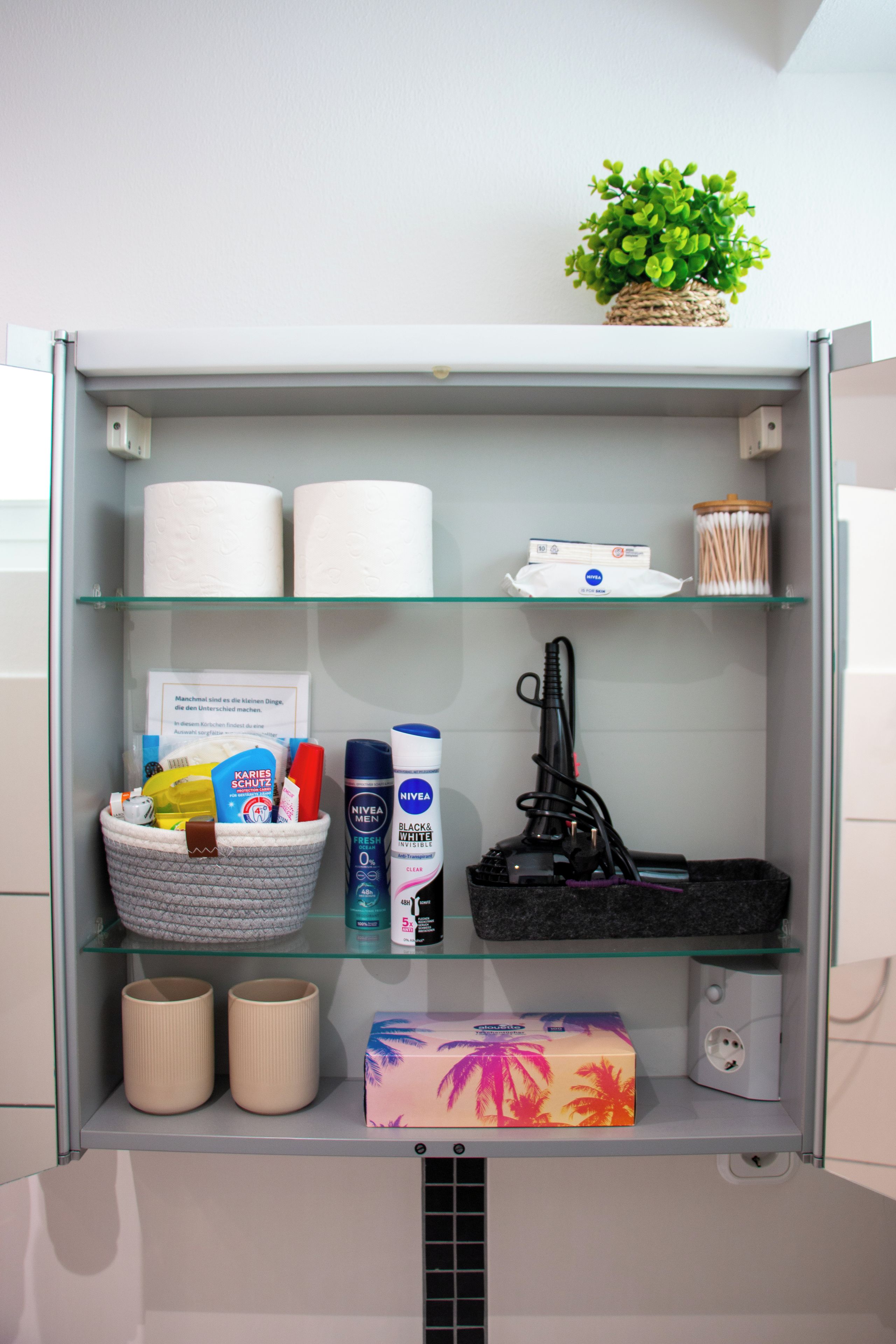 Une salle de bain avec une étagère contenant des articles de toilette, une plante et une boîte de mouchoirs.