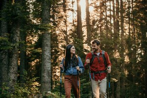 Deux personnes font de la randonnée dans une forêt où les arbres sont hauts et où la lumière du soleil filtre à travers les branches.