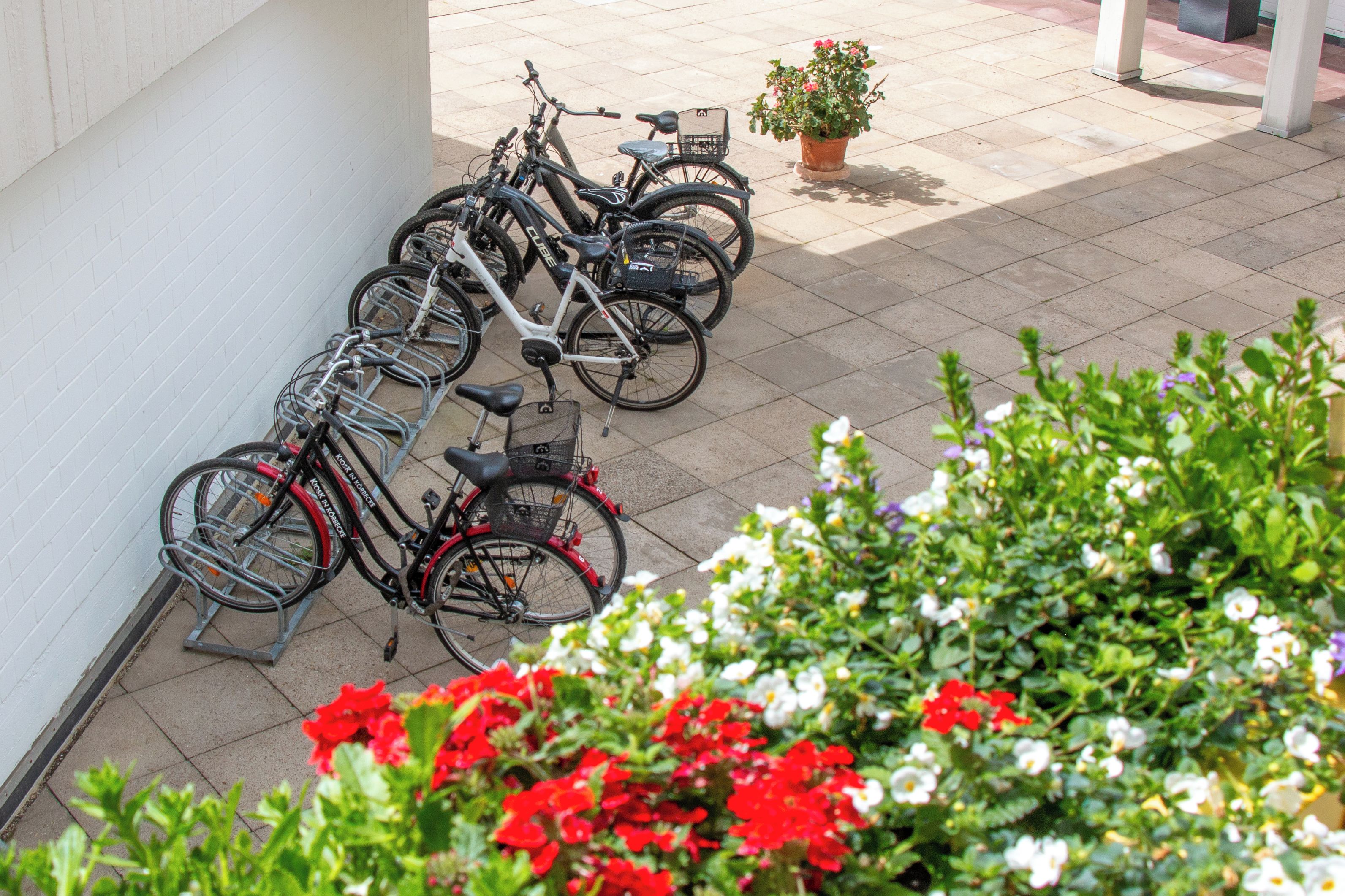 Des vélos sont garés dans un espace extérieur, avec une plante en pot et des fleurs au premier plan.