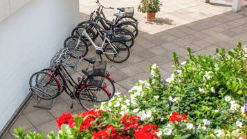 Des vélos sont garés dans un espace extérieur, avec une plante en pot et des fleurs au premier plan.