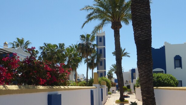 Un sentiero fiancheggiato da palme e un edificio dalle pareti azzurre e bianche.
