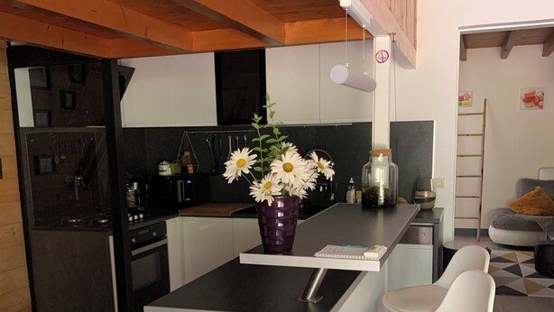 A modern kitchen with a central island, bar stools, and a vase of flowers. - Gîte de la Pinellerie, atypical close to the zoo and castles. (Thésée)