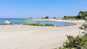 Ein Strand mit klarem Himmel, ruhiger See und spärlicher Vegetation.