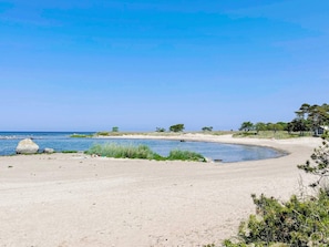 Ein Strand mit klarem Himmel, ruhiger See und spärlicher Vegetation.