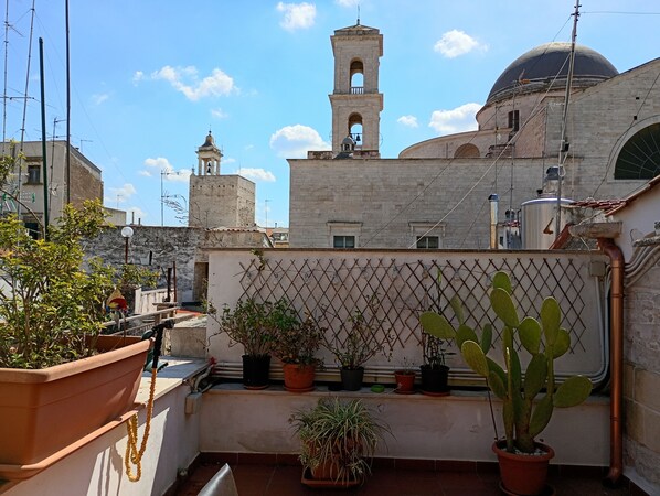 A rooftop with potted plants, a metal fence, and a view of historic buildings with a bell tower and dome.