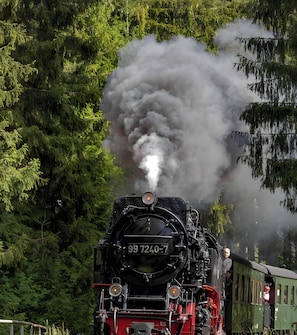 Eine Dampflokomotive mit der Nummer 99 7240-7 stößt Rauch aus, umgeben von dichtem Wald.
