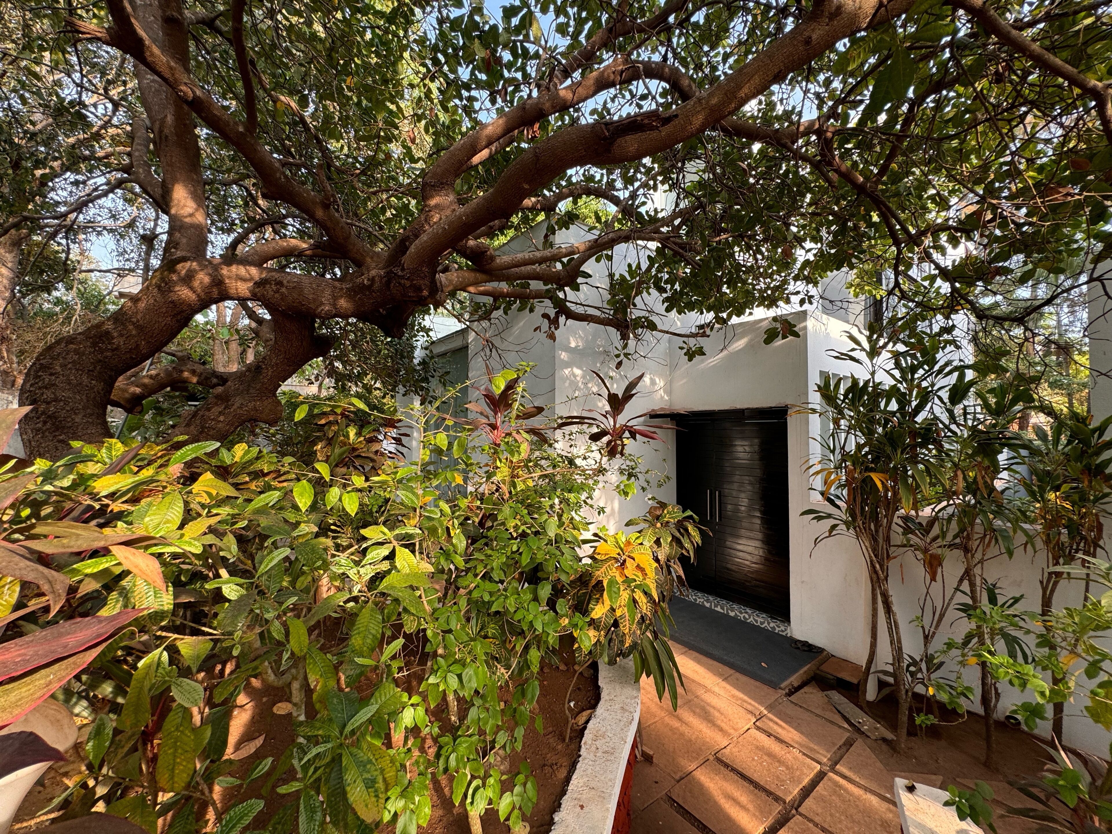 A tree-lined pathway leading to a building with a black door.