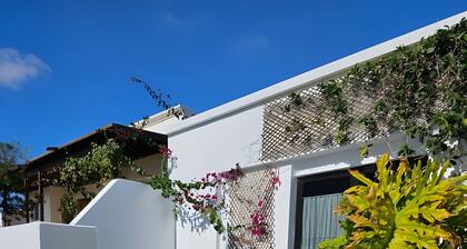 Casa Mirlo – Peaceful Garden Retreat in Nazaret, Central Lanzarote