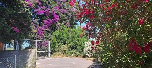 Entrada de la propiedad