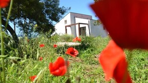 A modern building with a flat roof and large windows, surrounded by greenery and red flowers. - Studio apartments near Baratti Bay (Toscana)