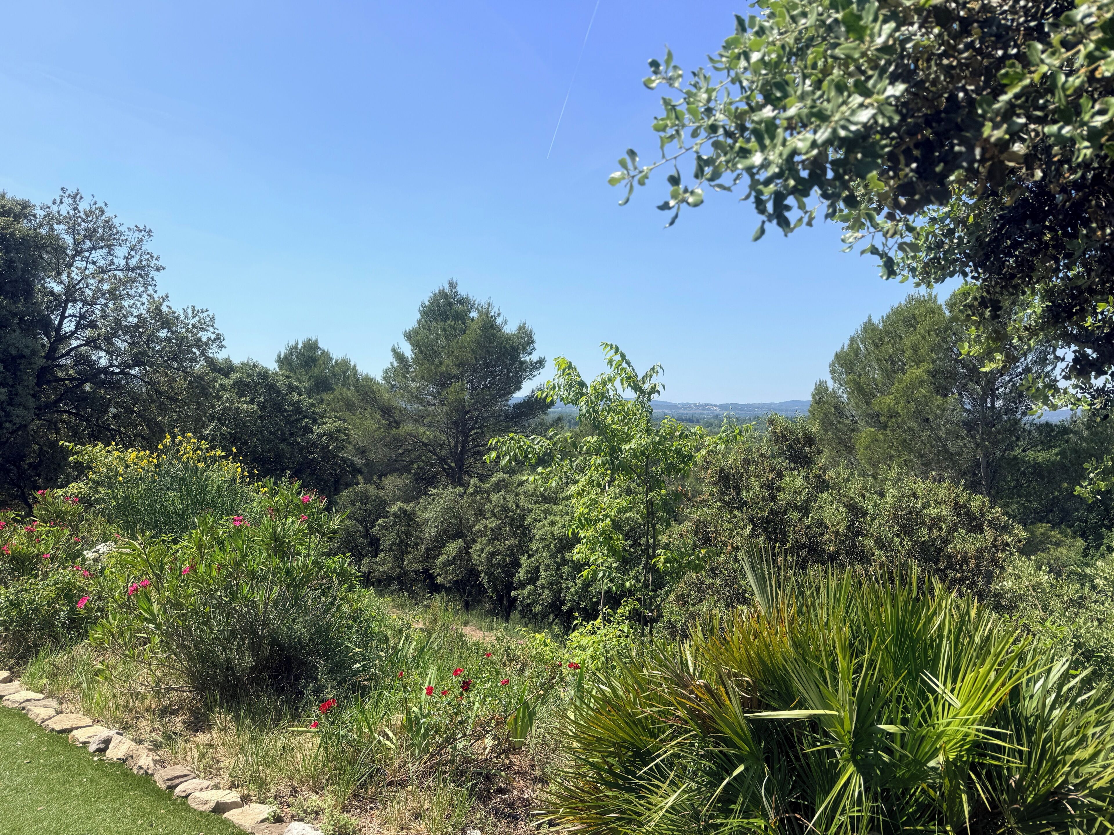 A garden with various plants and trees, a stone pathway, and a view of distant hills.
