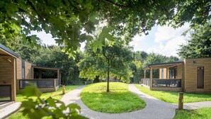 Een pad dat leidt naar houten vakantiehuisjes met een boom in het midden, omgeven door groen.