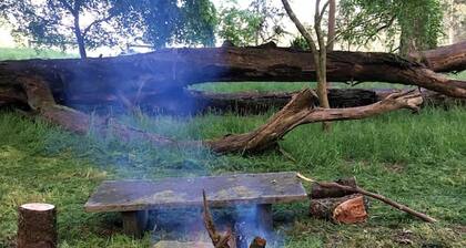 Cottage with private Rainforest and Waterfalls in Tanybryn, Victoria