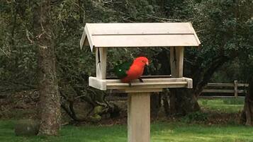 A bird feeder with a wooden structure and a single red bird perched on it.