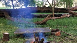 Un feu de camp avec un banc en pierre et des rochers couverts de mousse, le tout dans un cadre extérieur verdoyant.