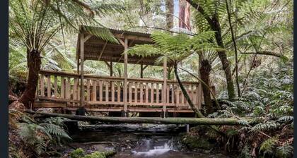 Cottage with private Rainforest and Waterfalls in Tanybryn, Victoria