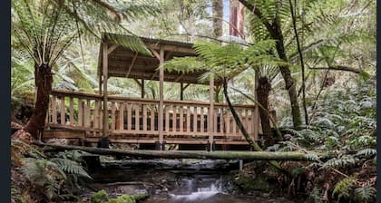 Cottage with private Rainforest and Waterfalls in Tanybryn, Victoria