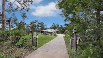 A pathway leading to a building with a green roof, surrounded by lush greenery and trees.