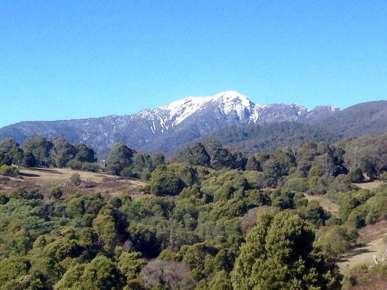A mountainous landscape with dense forest in the foreground and a snow-capped peak in the background.
