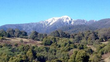 A mountainous landscape with dense forest in the foreground and a snow-capped peak in the background.