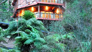 A wooden cabin with multiple windows and a balcony, surrounded by dense forest.