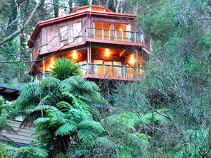 A wooden cabin with multiple windows and a balcony, surrounded by dense forest.