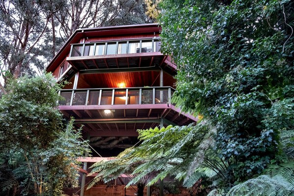 A multi-level wooden structure surrounded by dense foliage.