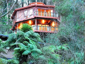 Une cabane en bois dotée de nombreuses fenêtres et d’un balcon, entourée d’une forêt dense.