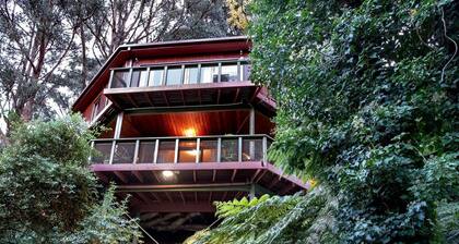 Gorgeous Octagonal Tree House Rental for a Unique Dandenong Ranges Accommodation near Melbourne