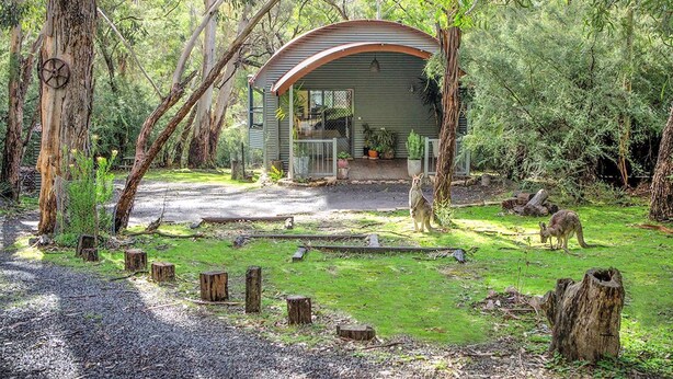 A rustic cabin with a curved roof, surrounded by a natural forest setting.