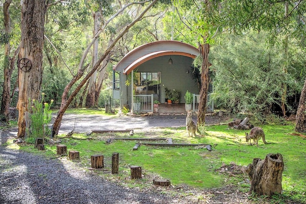 A rustic cabin with a curved roof, surrounded by a natural forest setting.