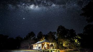 A tented accommodation with a view of the night sky, surrounded by trees.