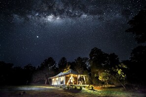 Un hébergement en tente offrant une vue sur le ciel nocturne, entouré d’arbres.