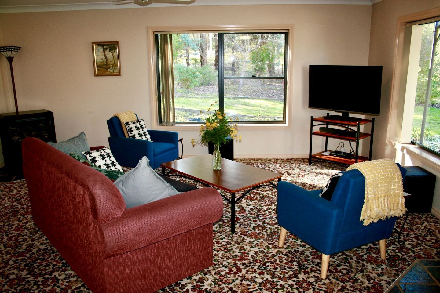 TV, fireplace, DVD player