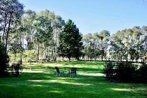 A grassy outdoor area with trees and two chairs.