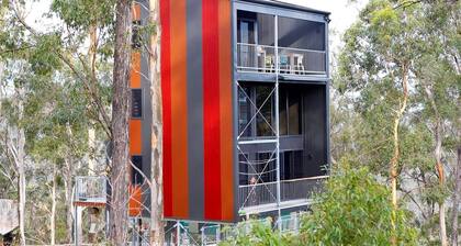 Impressive Gold Coast Tree House Ideal for Unique Queensland Holidays