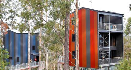 Impressive Gold Coast Tree House Ideal for Unique Queensland Holidays