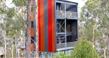 Impressive Gold Coast Tree House Ideal for Unique Queensland Holidays