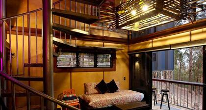 Amazing Gold Coast Tree House Perfect for Glamping in Queensland