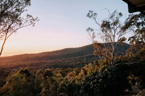 A view of a hilly landscape with dense forestation and a clear sky.