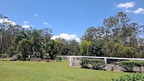 A grassy field with a white fence, trees, and a clear sky.